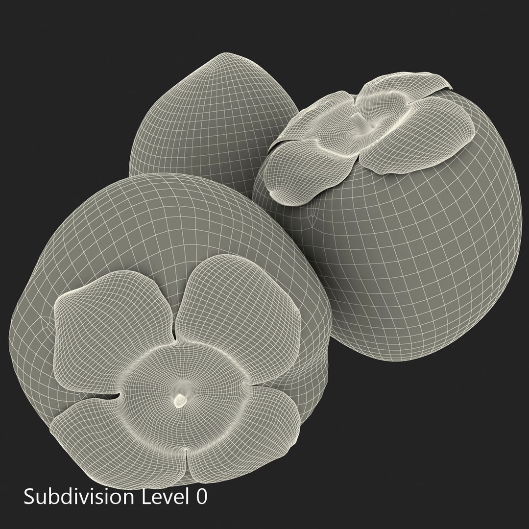 3d model of persimmon 2 https://p.turbosquid.com/ts-thumb/re/vFI1WH/rycWJtgJ/persimmon_5/jpg/1383098114/1920x1080/fit_q87/c341b1805fb5b1548db0c4ef46a8aff56ee734c2/persimmon_5.jpg