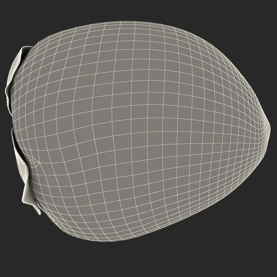 3d model of persimmon 2 https://p.turbosquid.com/ts-thumb/re/vFI1WH/sTLVlo2z/persimmon_163/jpg/1383098667/1920x1080/fit_q87/ed938a24742b1d1511b3464270cc7e0b16047b00/persimmon_163.jpg