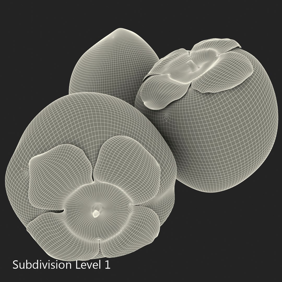 3d model of persimmon 2 https://p.turbosquid.com/ts-thumb/re/vFI1WH/ymgSesUJ/persimmon_6/jpg/1383098118/1920x1080/fit_q87/0c40693c952338facc059ac3ac5b66769b76285b/persimmon_6.jpg
