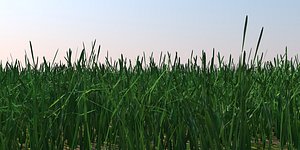 polygonal grass blades 3d obj