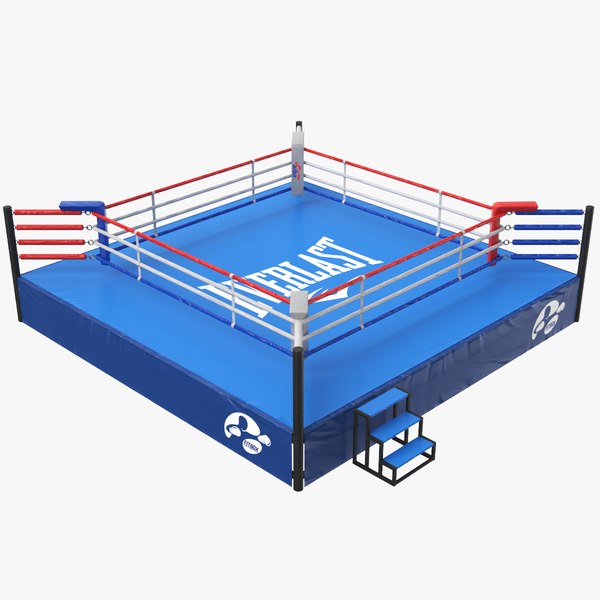 3D real boxing ring