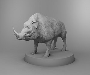 3D animals nature boar model