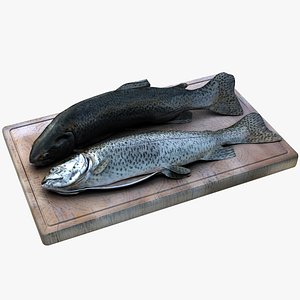 3D Kitchen-Ready Trout Set With Cutting Board