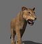 lioness animation fur 3d model