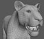 lioness animation fur 3d model