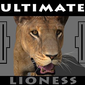 The Ultimate Lioness