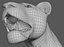 lioness animation fur 3d model
