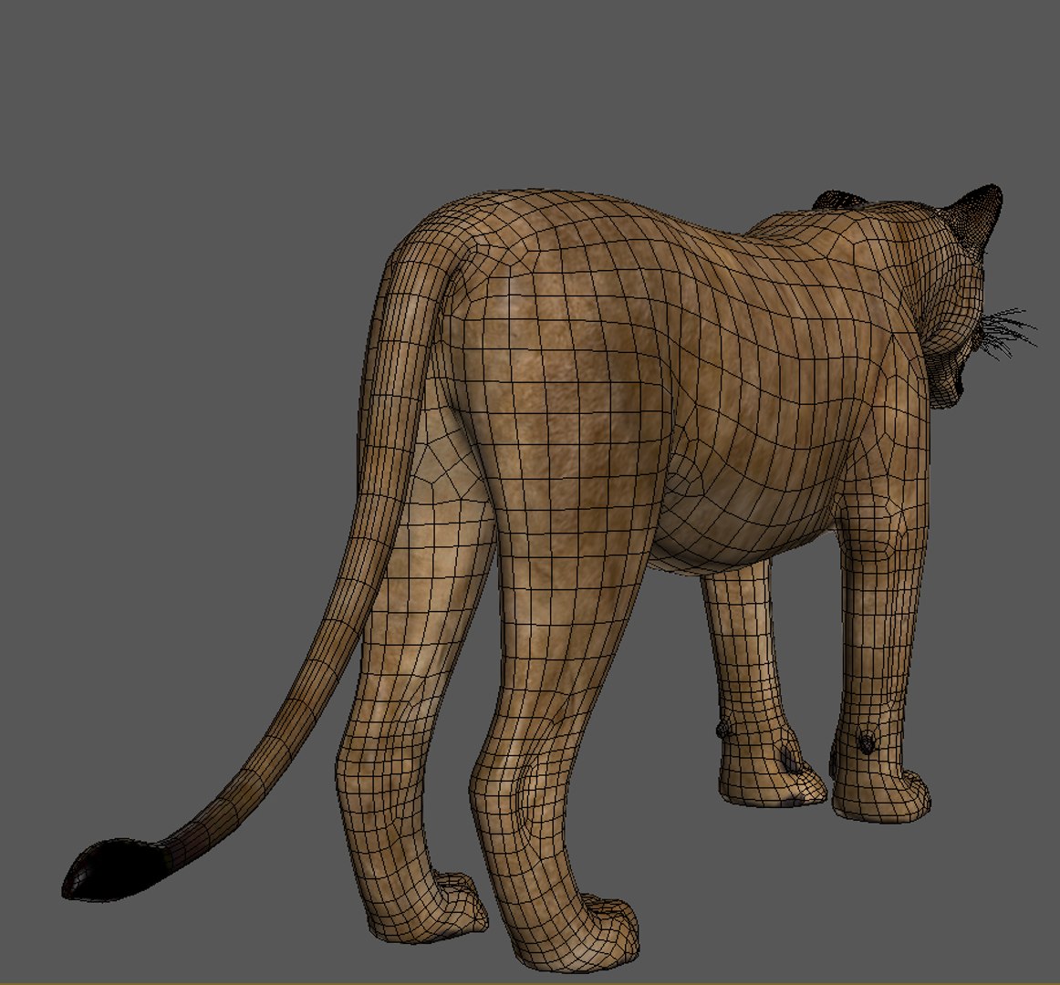 lioness animation fur 3d model https://p.turbosquid.com/ts-thumb/rf/MVOrXJ/rCaIaYv2/leoa19/jpg/1344541413/1920x1080/fit_q87/83137c607af2b061c6ac51fa1eab7c007e1c97b9/leoa19.jpg