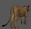 lioness animation fur 3d model