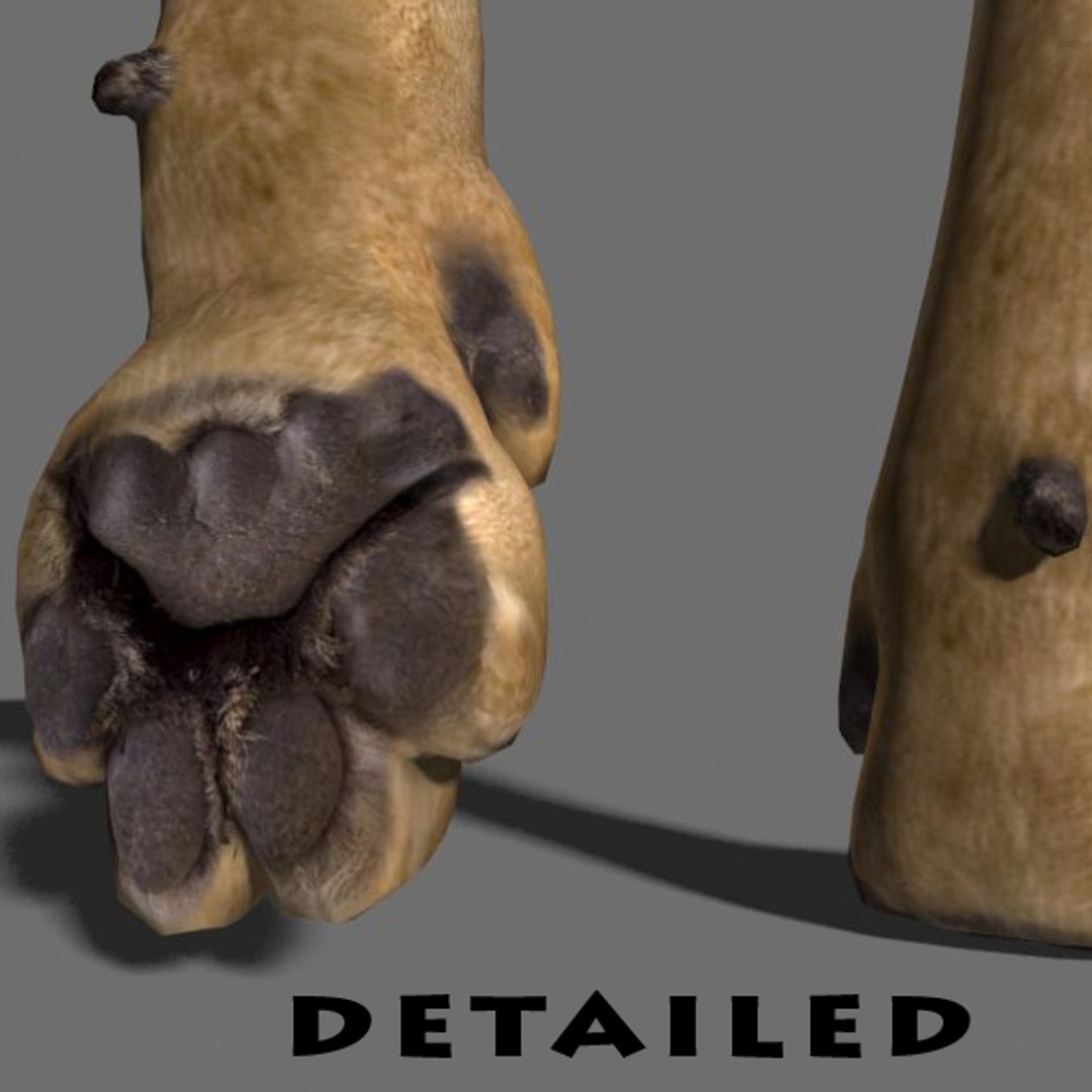 lioness animation fur 3d model https://p.turbosquid.com/ts-thumb/rf/MVOrXJ/t5rvMPmU/leoa115/jpg/1344550099/1920x1080/fit_q87/ba76c77f9e2b4064ca0d5701f401c539c31351f0/leoa115.jpg