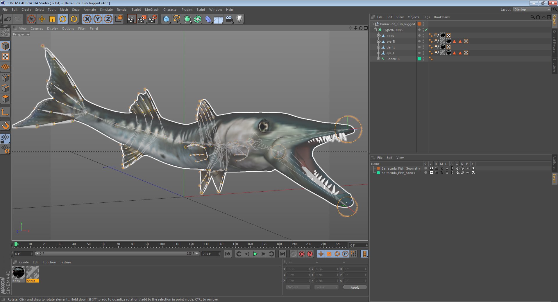 3D rigged fishes 5 model https://p.turbosquid.com/ts-thumb/rf/VS1jGk/3XeBVeq0/barracudafishriggedcinema4d3dmodel18/jpg/1596443402/1920x1080/fit_q87/5a49ca2ee1992c6af7ed3cc413e9126c43eabd0d/barracudafishriggedcinema4d3dmodel18.jpg