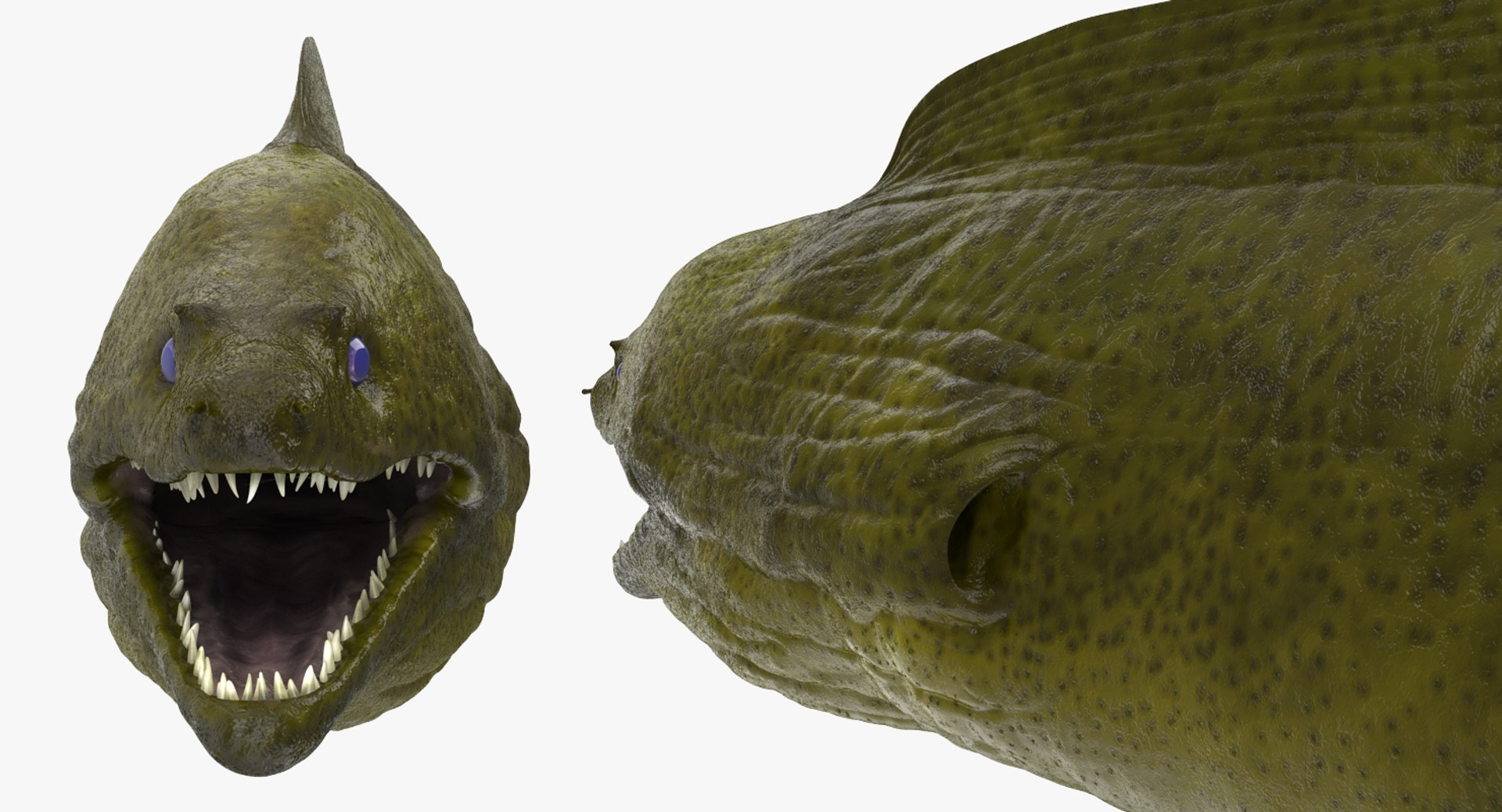 3D rigged fishes 5 model https://p.turbosquid.com/ts-thumb/rf/VS1jGk/5inMLB9D/riggedfishescollection5c4dmodel047/jpg/1595419115/1920x1080/fit_q87/231d6915e6cceb203c6c7e800d9e34d360455496/riggedfishescollection5c4dmodel047.jpg