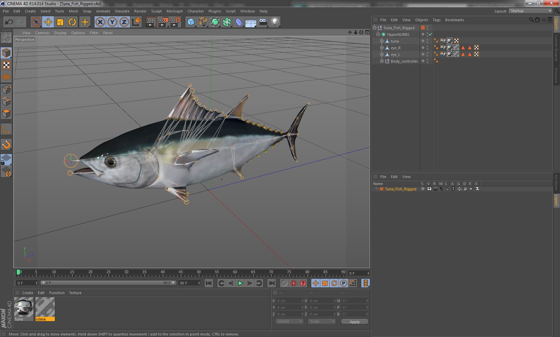 3D rigged fishes 5 model https://p.turbosquid.com/ts-thumb/rf/VS1jGk/BOwXbUeF/tunafishriggedcinema4d3dmodel28/jpg/1596443481/1920x1080/fit_q87/eba7f68f6b3ed31b4c63eedbe3becd4166282604/tunafishriggedcinema4d3dmodel28.jpg