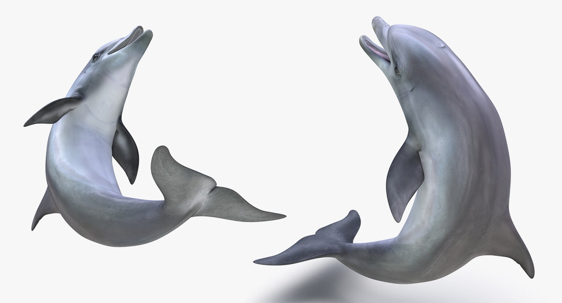3D rigged fishes 5 model https://p.turbosquid.com/ts-thumb/rf/VS1jGk/F6TAZeKR/riggedfishescollection5c4dmodel132/jpg/1595419319/1920x1080/fit_q87/0aa3e15c8fd35e987e3e70a27bbe665aeb448849/riggedfishescollection5c4dmodel132.jpg