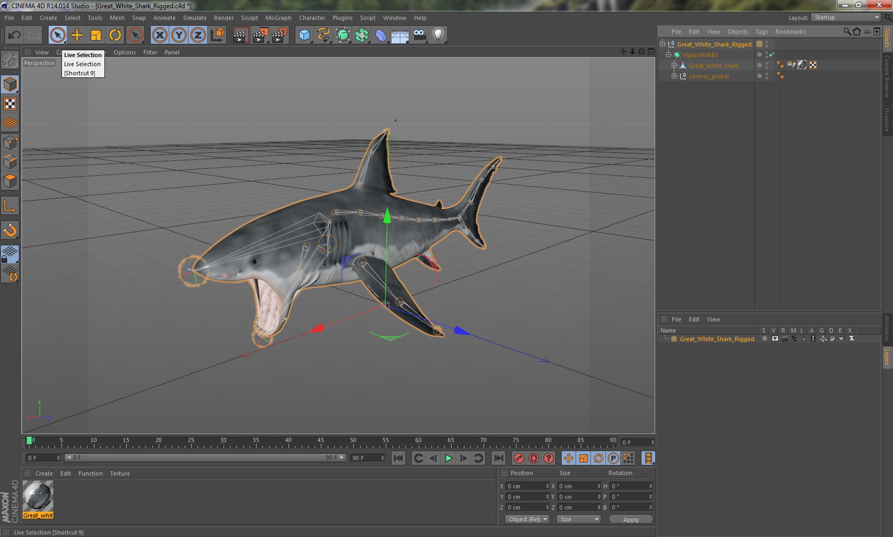 3D rigged fishes 5 model https://p.turbosquid.com/ts-thumb/rf/VS1jGk/G9Owf1ci/greatwhitesharkriggedcinemac4d3dmodel30/jpg/1596443426/1920x1080/fit_q87/315a6b55685b415f933964f47e9eceb4b053ff3e/greatwhitesharkriggedcinemac4d3dmodel30.jpg