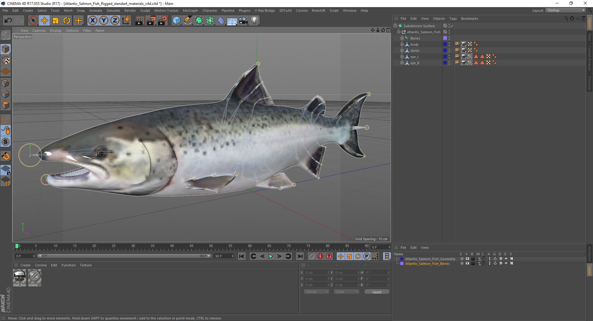 3D rigged fishes 5 model https://p.turbosquid.com/ts-thumb/rf/VS1jGk/MJYffBI7/atlantic_salmon_fish_rigged_c4d_01/jpg/1596443390/1920x1080/fit_q87/02e8c8295b13fe96a965ad08e55d3e2c82503f22/atlantic_salmon_fish_rigged_c4d_01.jpg