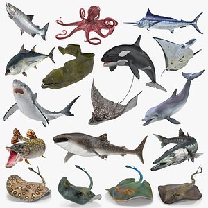 Rigged Fishes Collection 5 for Cinema 4D