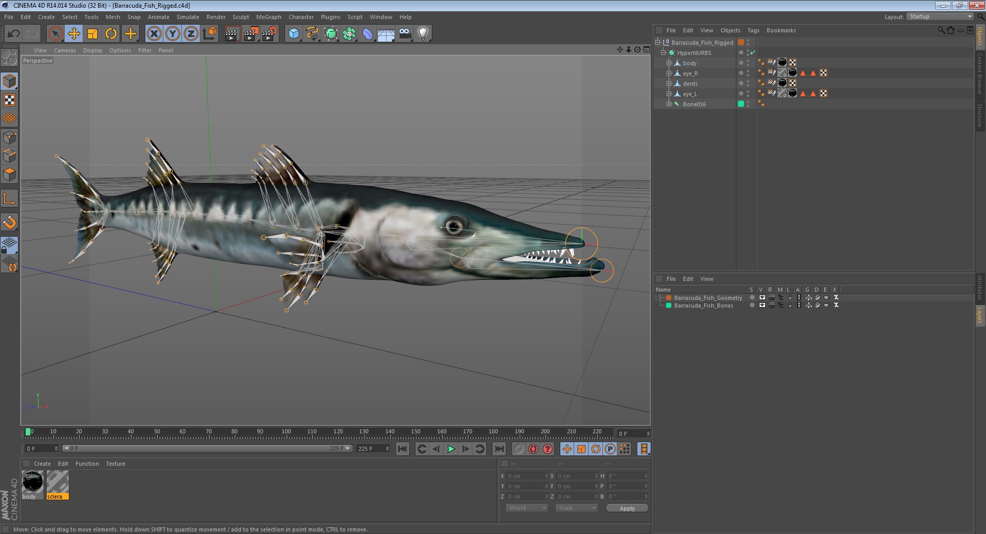3D rigged fishes 5 model https://p.turbosquid.com/ts-thumb/rf/VS1jGk/SEKo1VS5/barracudafishriggedcinema4d3dmodel17/jpg/1596443399/1920x1080/fit_q87/80e7df4f59d0097b175ba1b9d05beff2ff9942da/barracudafishriggedcinema4d3dmodel17.jpg