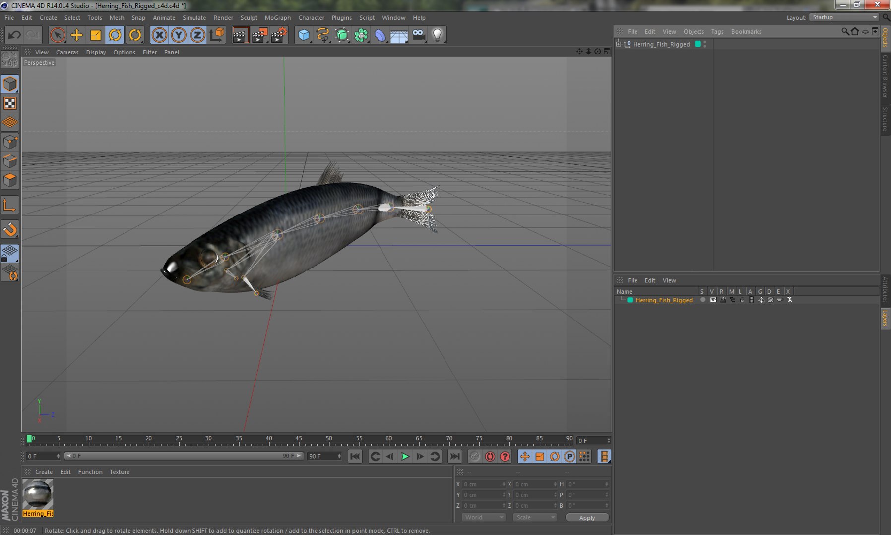 3D rigged fishes 5 model https://p.turbosquid.com/ts-thumb/rf/VS1jGk/V1aDl5RJ/herringfishriggedcinemac4d3dmodel18/jpg/1596443430/1920x1080/fit_q87/ed59a1da2daf65fc58584417ef7fd15ce7d5bd52/herringfishriggedcinemac4d3dmodel18.jpg