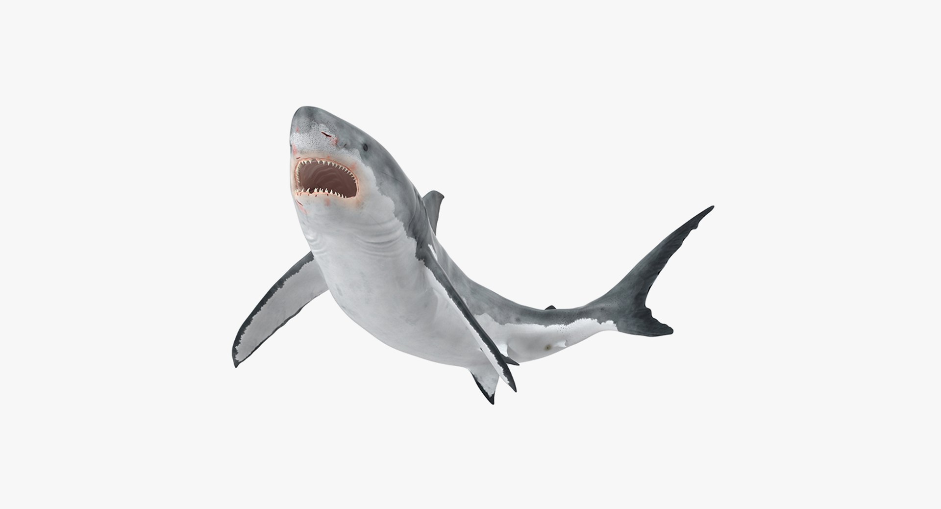 3D rigged fishes 5 model https://p.turbosquid.com/ts-thumb/rf/VS1jGk/WIixgp03/riggedfishescollection5c4dmodel138/jpg/1595419335/1920x1080/fit_q87/8b09ae8c7b43663aac57d1a4a547b4bafacfe707/riggedfishescollection5c4dmodel138.jpg