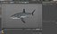 3D rigged fishes 5 model