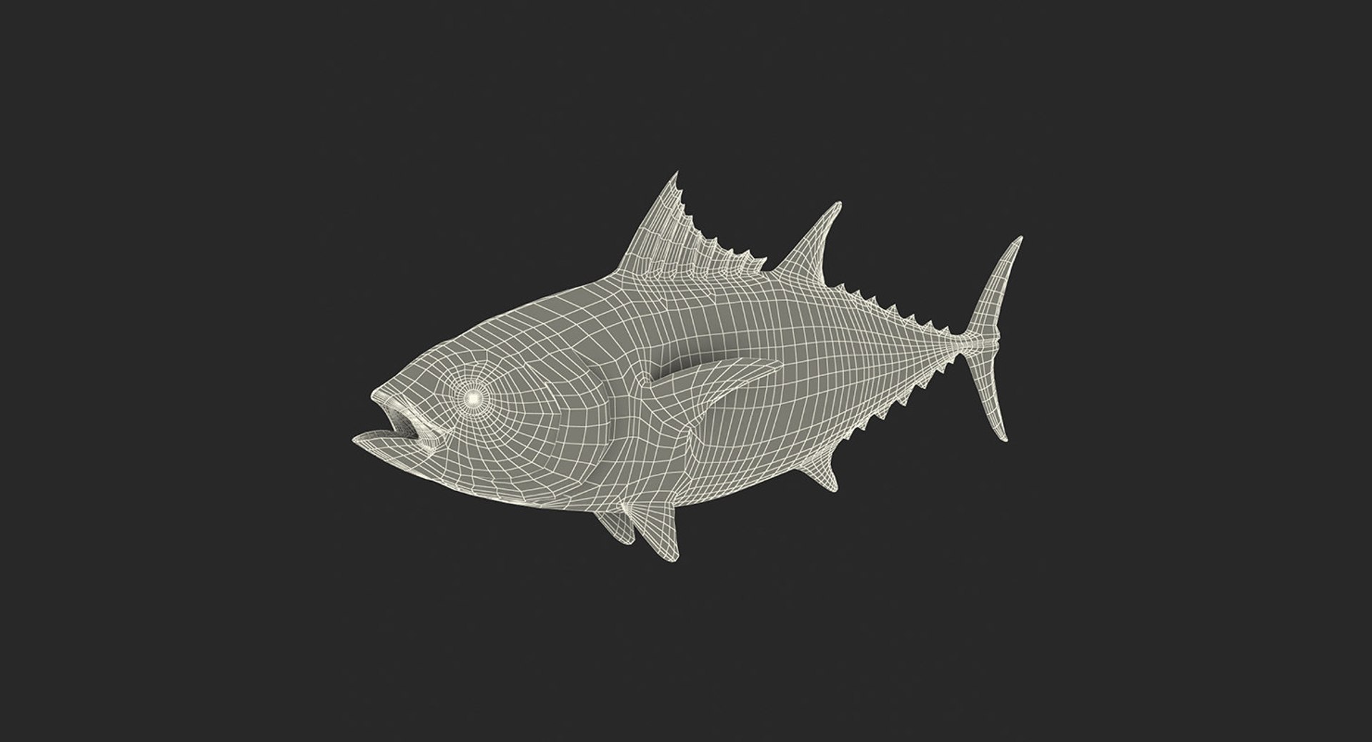 3D rigged fishes 5 model https://p.turbosquid.com/ts-thumb/rf/VS1jGk/fFFpWT30/riggedfishescollection5c4dmodel155/jpg/1595419378/1920x1080/fit_q87/c657ebcbdd9737b0b9ae5648a9f0abd560a096fb/riggedfishescollection5c4dmodel155.jpg