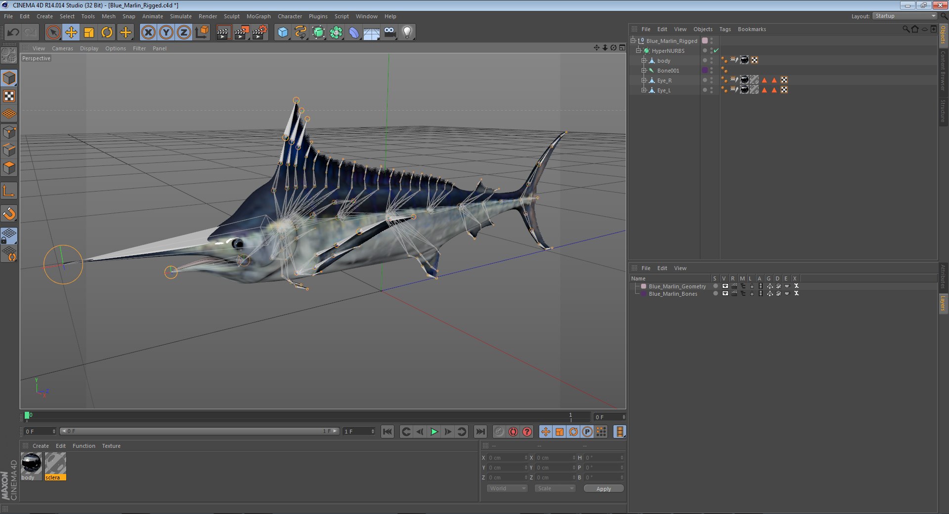 3D rigged fishes 5 model https://p.turbosquid.com/ts-thumb/rf/VS1jGk/fnW7XwkR/bluemarlinriggedcinema4d3dmodel20/jpg/1596443404/1920x1080/fit_q87/84a7454ce9f51490b370db234d808537b75320ef/bluemarlinriggedcinema4d3dmodel20.jpg