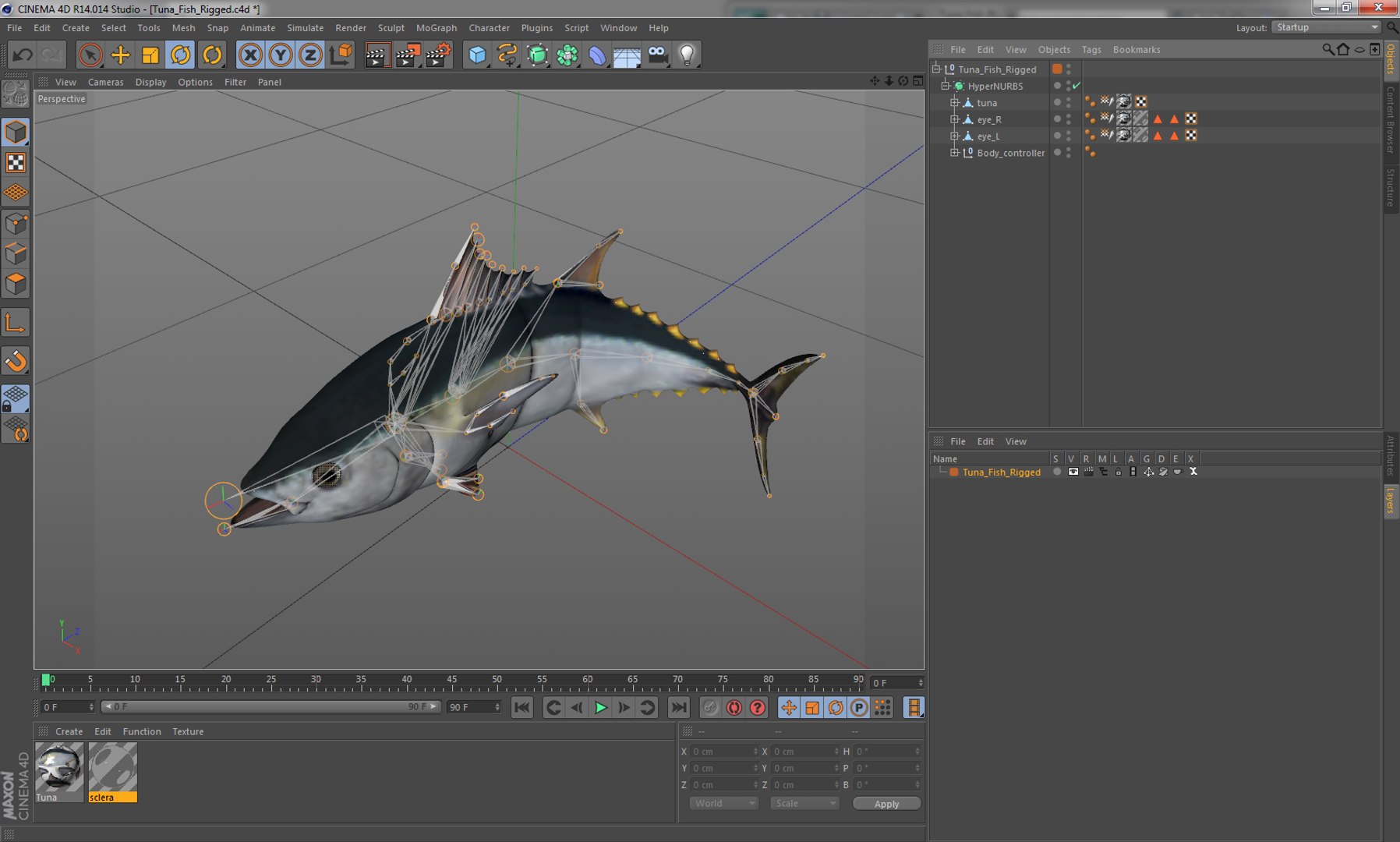 3D rigged fishes 5 model https://p.turbosquid.com/ts-thumb/rf/VS1jGk/iyO3QzET/tunafishriggedcinema4d3dmodel29/jpg/1596443483/1920x1080/fit_q87/8696223e06fa2f12eb07481f9b916338b13661f0/tunafishriggedcinema4d3dmodel29.jpg