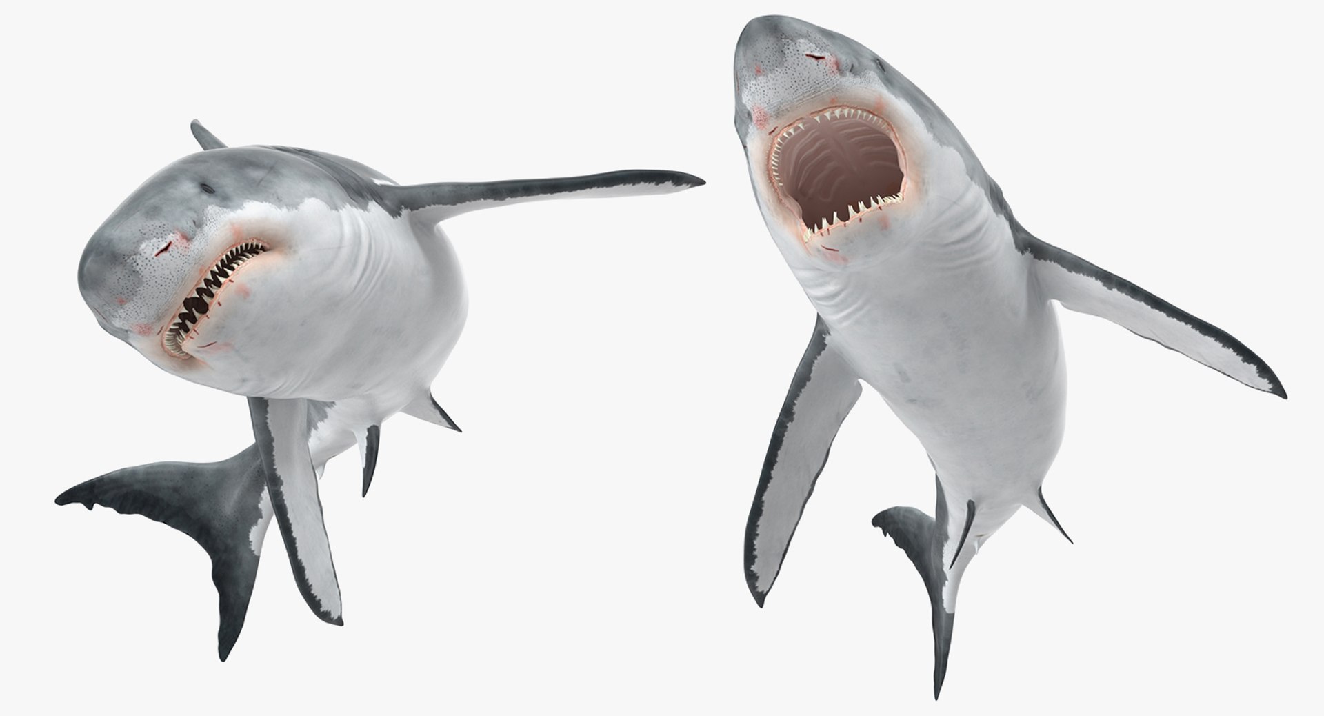 3D rigged fishes 5 model https://p.turbosquid.com/ts-thumb/rf/VS1jGk/lP8WnRlr/riggedfishescollection5c4dmodel140/jpg/1595419340/1920x1080/fit_q87/4c76585e61a62f8eb0d08238e6f2c2489245bd27/riggedfishescollection5c4dmodel140.jpg