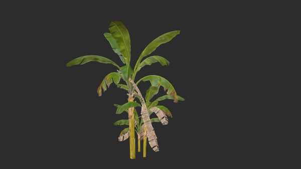 3D assets banana trees model - TurboSquid 1652123