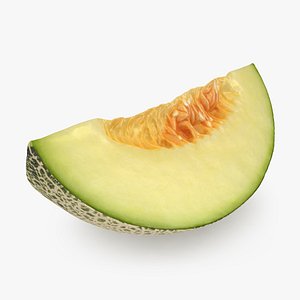 Green Melon Slice model