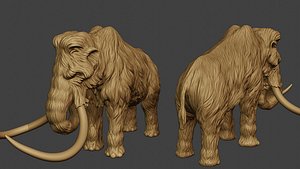 3D Mammoth P1