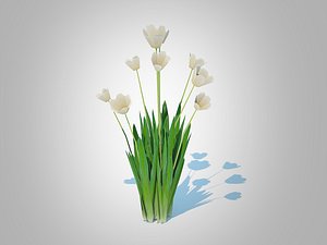 Tulipa - tulipsWhite 3D model