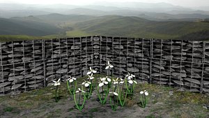 3d white iris flower