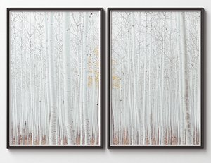 Picture Frames Set-525 model
