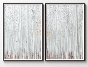 Picture Frames Set-525