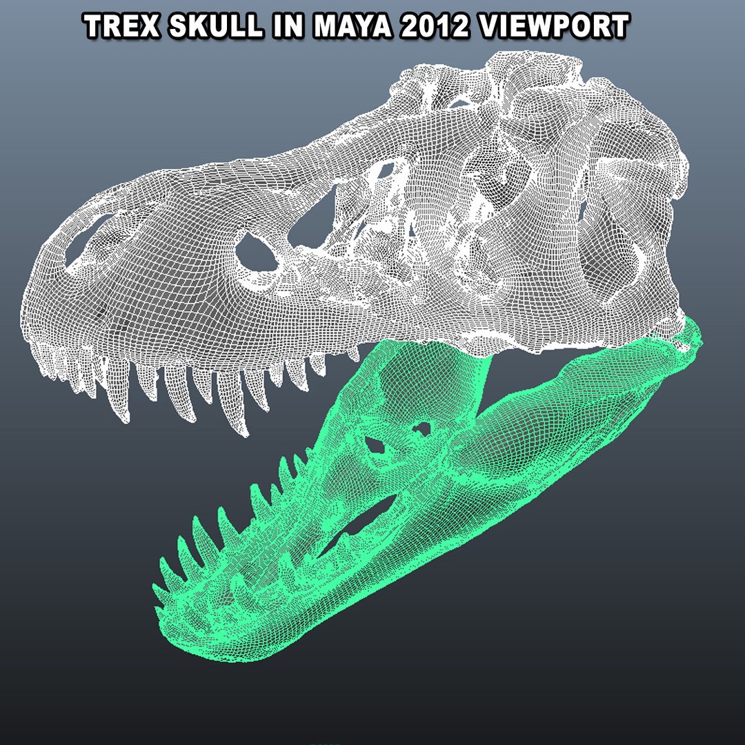 3d Model Museum Scan