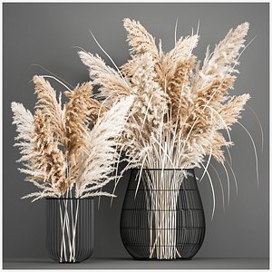 3D model Decorative Bouquet of dried pampas grass 193