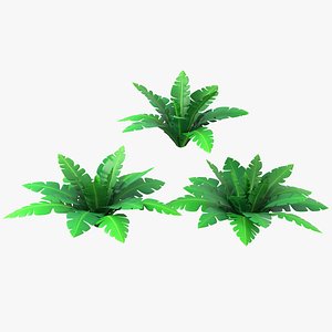 Cartoon Tropical Plant Collection