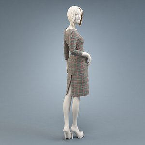 Dress case with sleeve 3/4_2