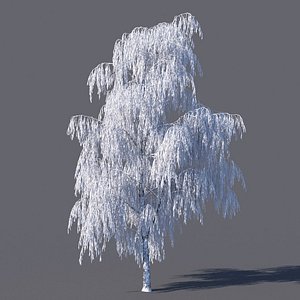 frozen birch model