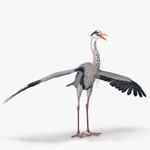 Grey Heron Rigged for Cinema 4D 3D