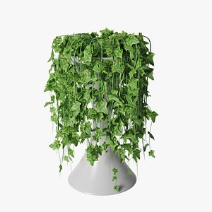 3D ivy pot