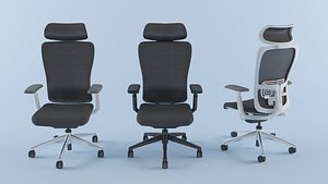 OFFICE CHAIR - 224 - DMX 2018