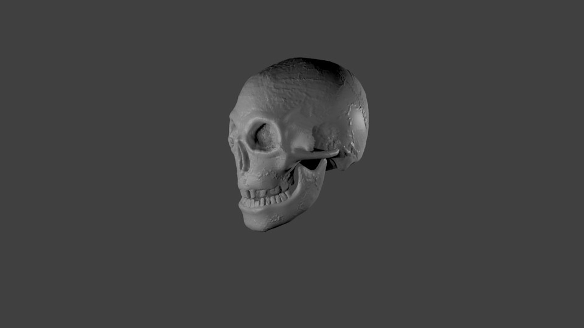 Skull Caveira Model - TurboSquid 1355391