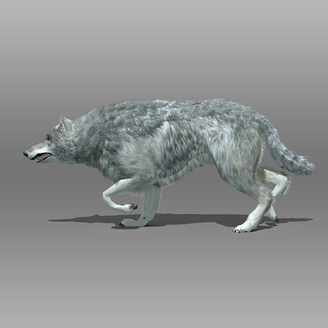 3ds max timber wolf animations https://p.turbosquid.com/ts-thumb/rg/s4g77L/0mmqGXb7/greywolf_1/jpg/1505316101/1920x1080/fit_q87/7a48ad004b7a3f2402bdda0110b4ebc9152b7907/greywolf_1.jpg