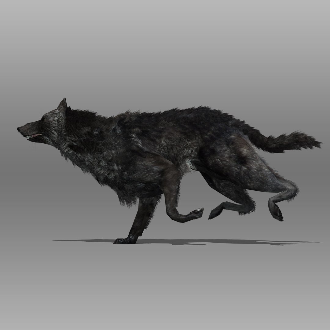 3ds max timber wolf animations https://p.turbosquid.com/ts-thumb/rg/s4g77L/6o2fuygc/blackwolf_3/jpg/1505316100/1920x1080/fit_q87/5ee49a01098f3e36b667cbbbdba1e506f7174674/blackwolf_3.jpg