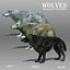 Wolf Animated