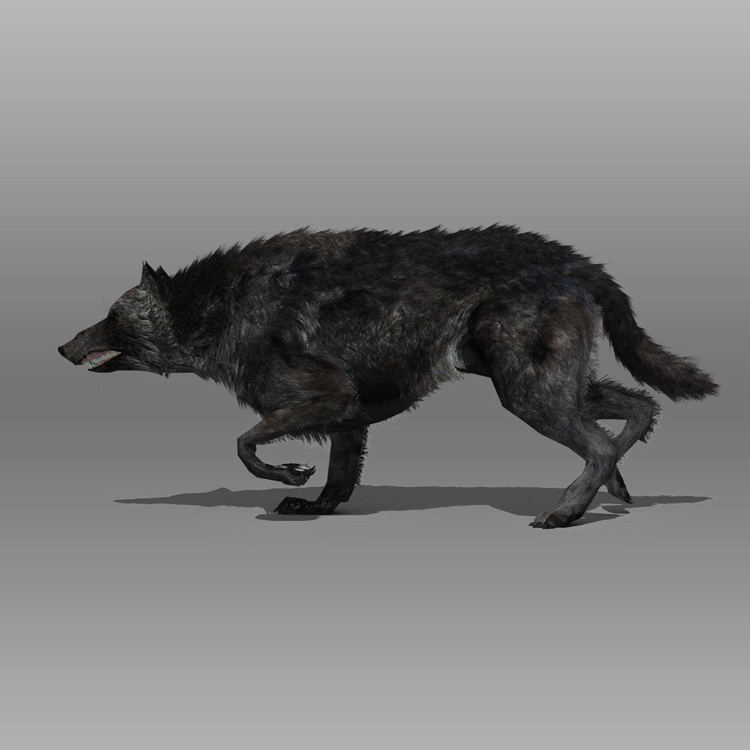 3ds max timber wolf animations https://p.turbosquid.com/ts-thumb/rg/s4g77L/FECPPawX/blackwolf_1/jpg/1505316100/1920x1080/fit_q87/5eeef06196ae79067acf03d4e58670003843508f/blackwolf_1.jpg