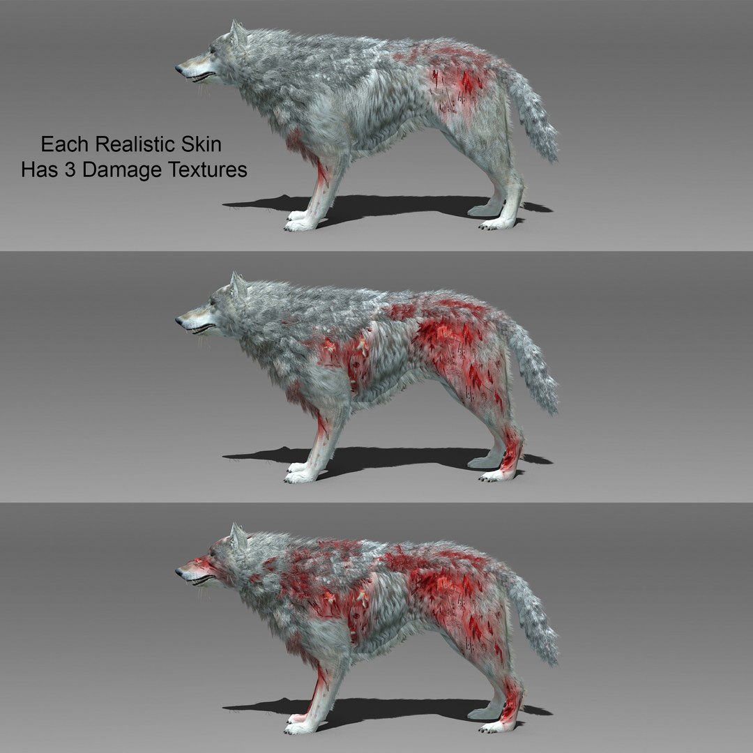 3ds max timber wolf animations https://p.turbosquid.com/ts-thumb/rg/s4g77L/TJETIZyj/damagetextures2/jpg/1505316101/1920x1080/fit_q87/699c5af990391bcce70221a473675245dd35ecbb/damagetextures2.jpg